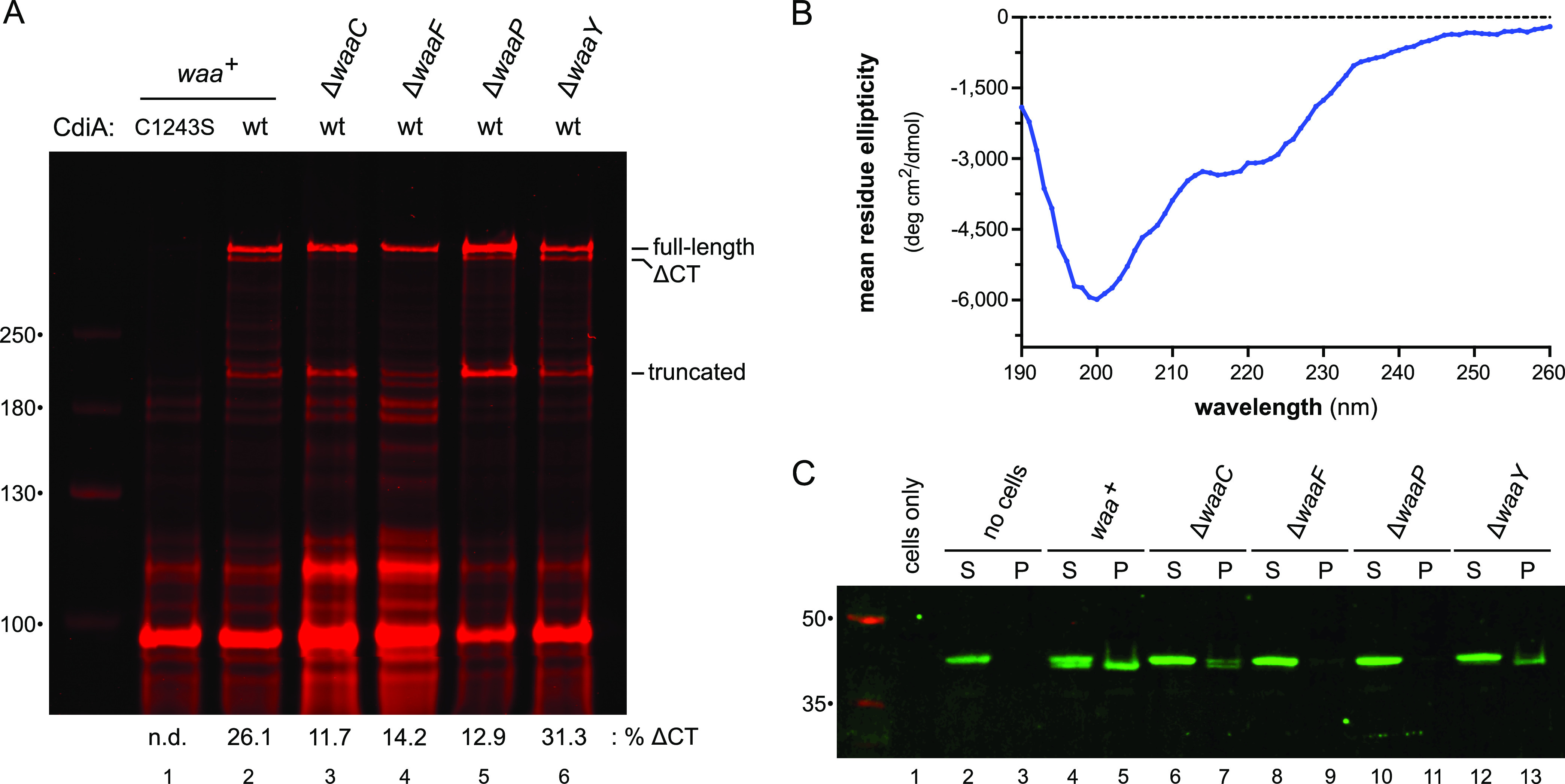 FIG 3