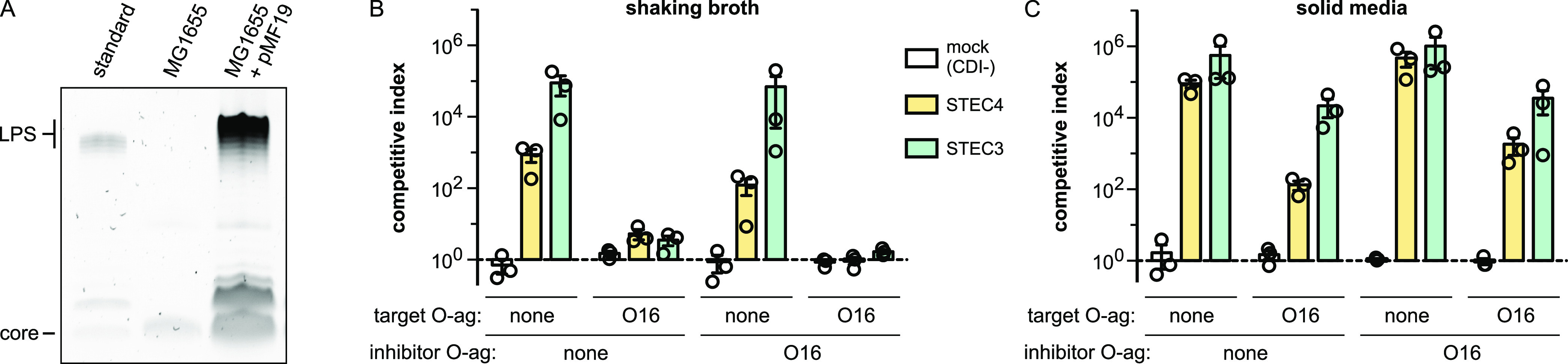 FIG 4