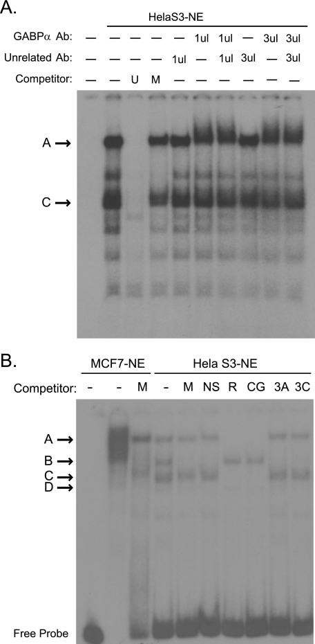 FIGURE 4.