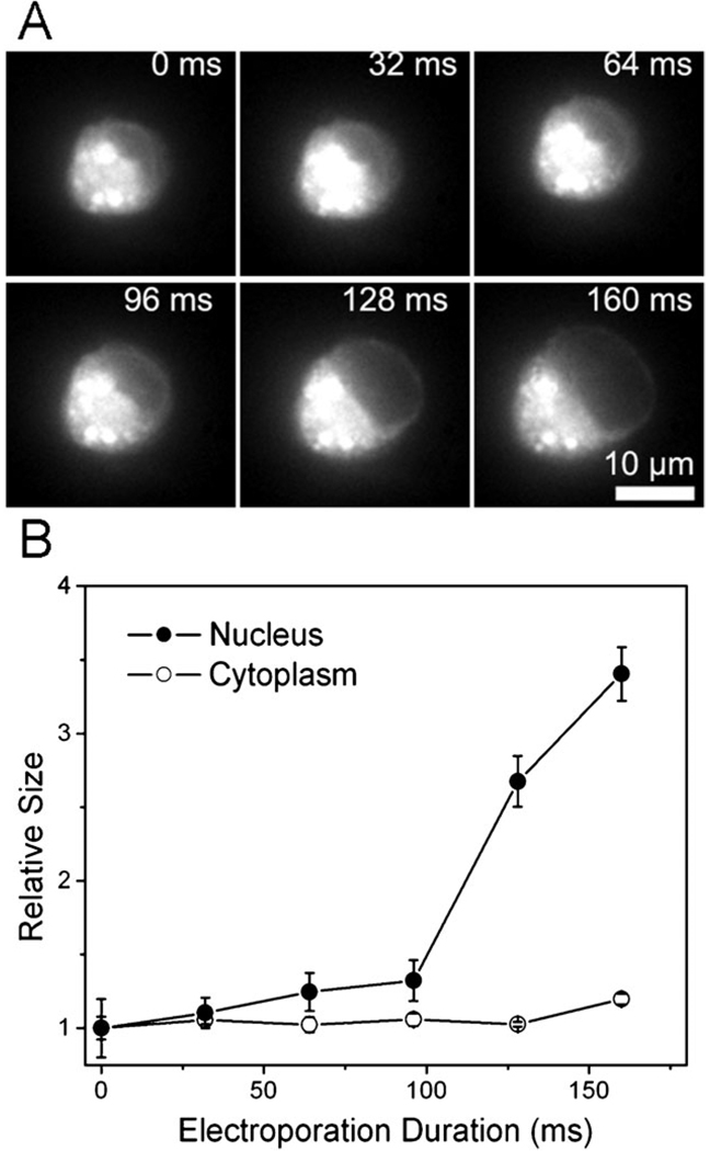 Fig. 8