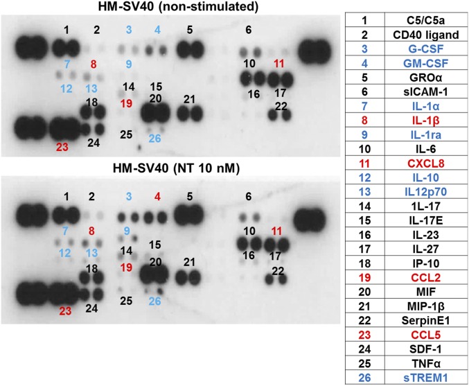 Fig. S1.