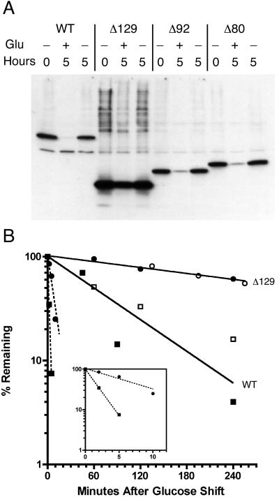 FIG. 5.