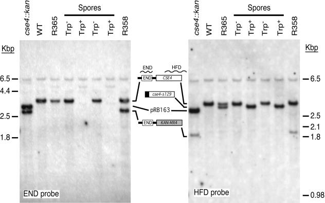 FIG. 6.