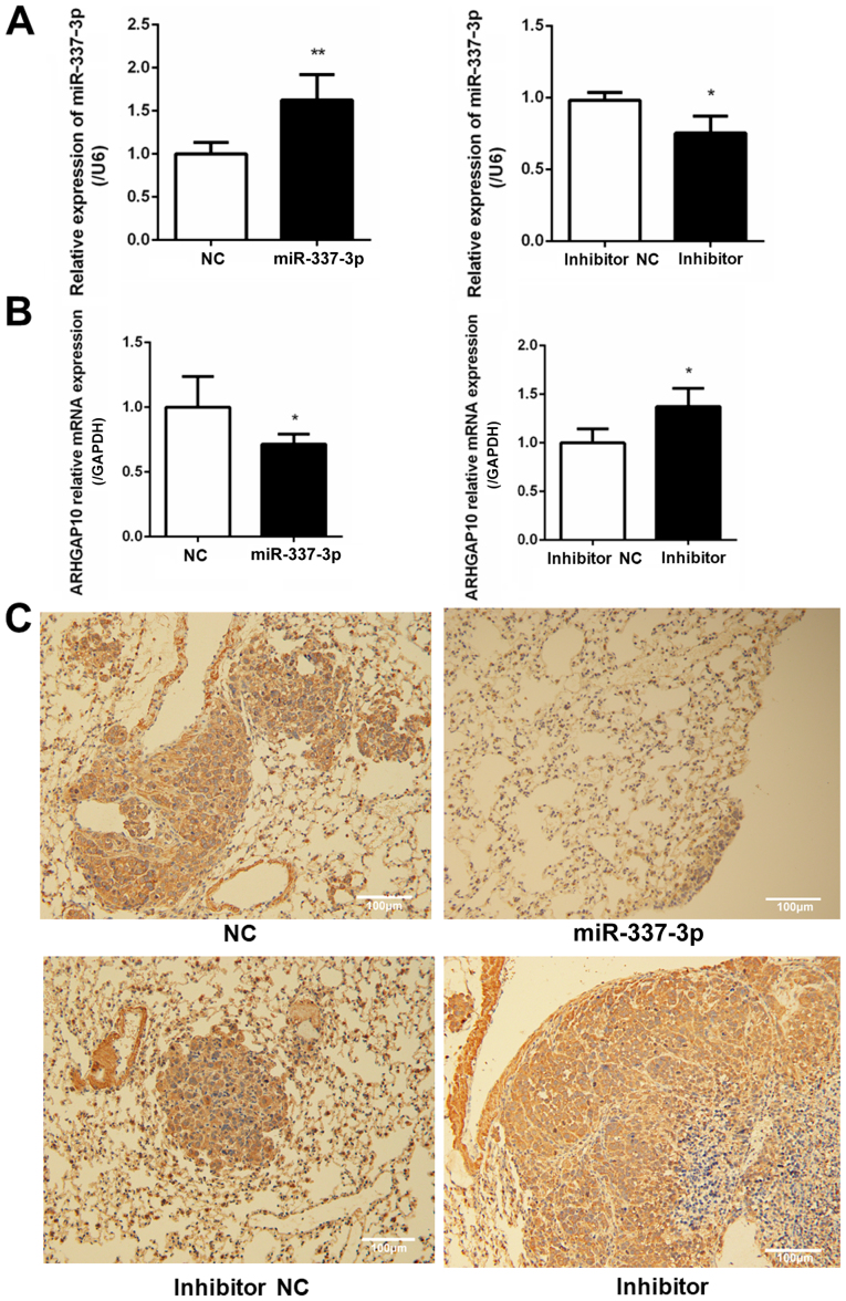 Figure 10.