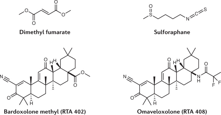 Box 1 Natural products that activate the KEAP1/NRF2 pathway