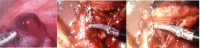 Fig. 2:
