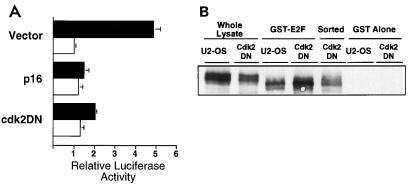 FIG. 5