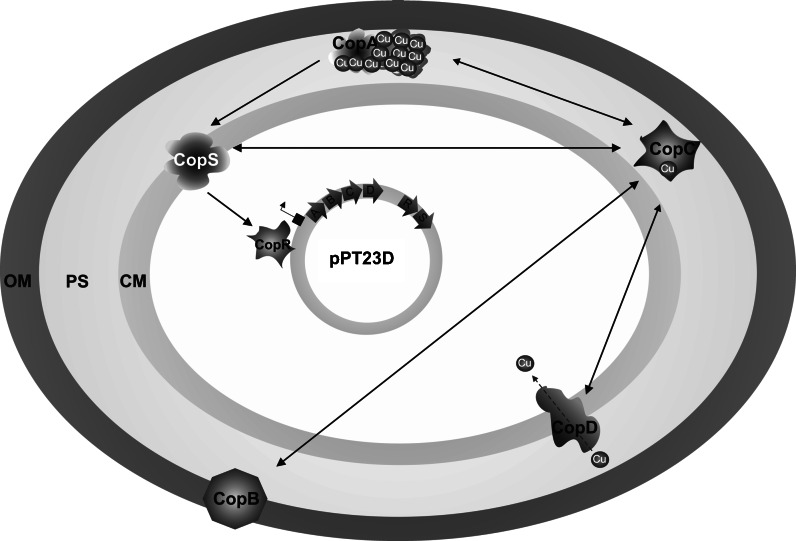 Fig. 2