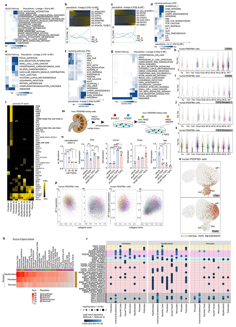 Extended Data Fig. 6