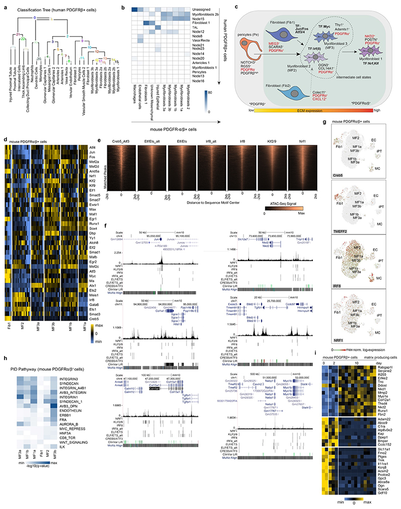 Extended Data Fig. 9