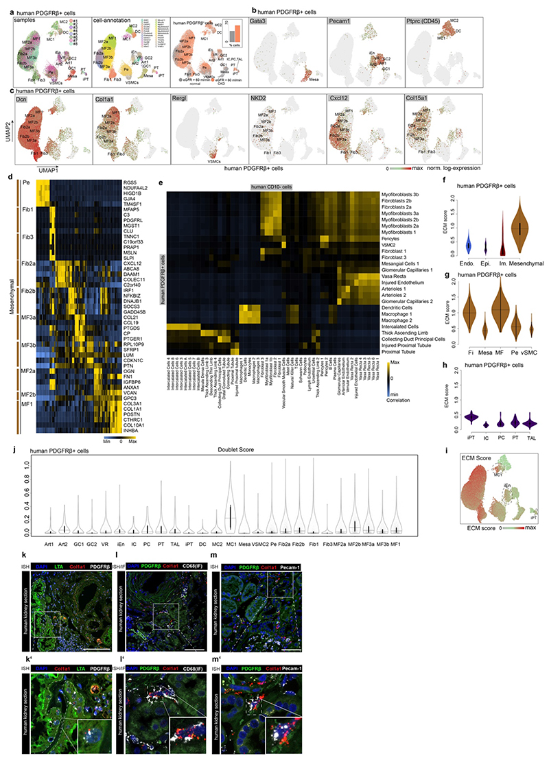 Extended Data Fig. 4