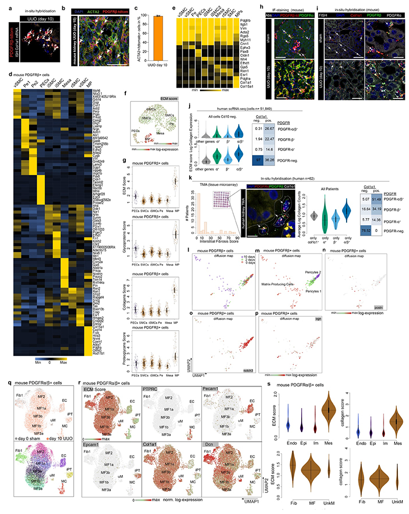 Extended Data Fig. 7