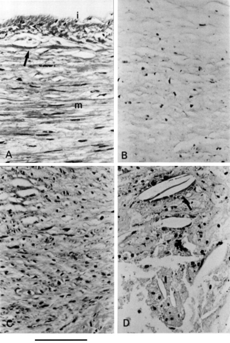 Figure 3  