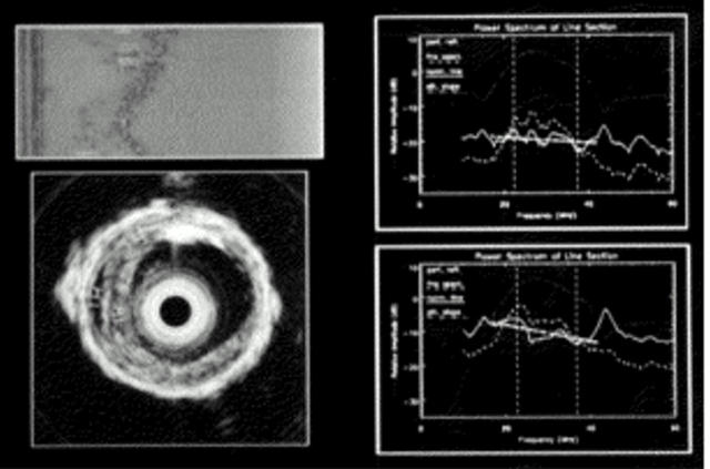 Figure 2  