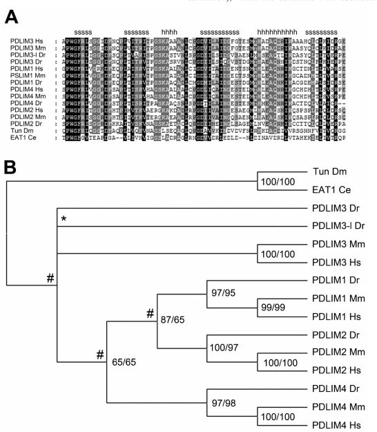 Fig. (1)