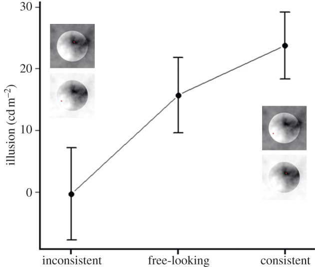 Figure 5.