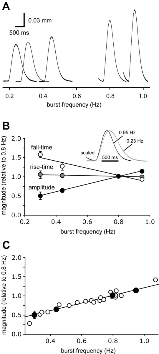 
Figure 11.
