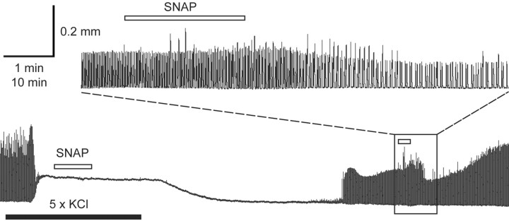 
Figure 8.
