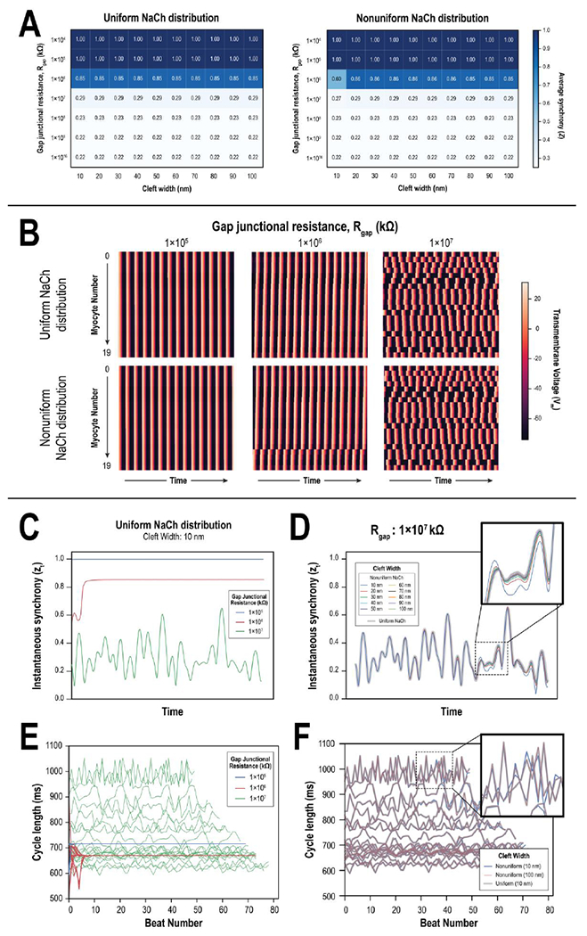 Figure 2: