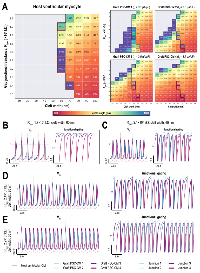 Figure 3: