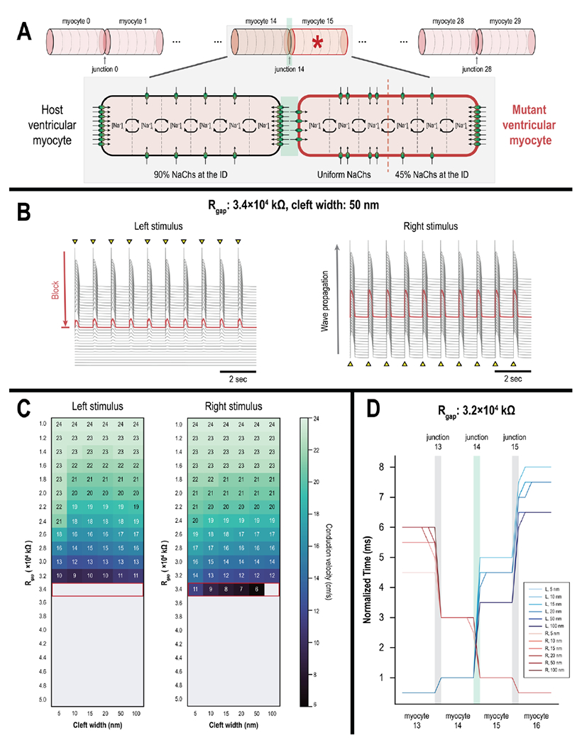 Figure 4: