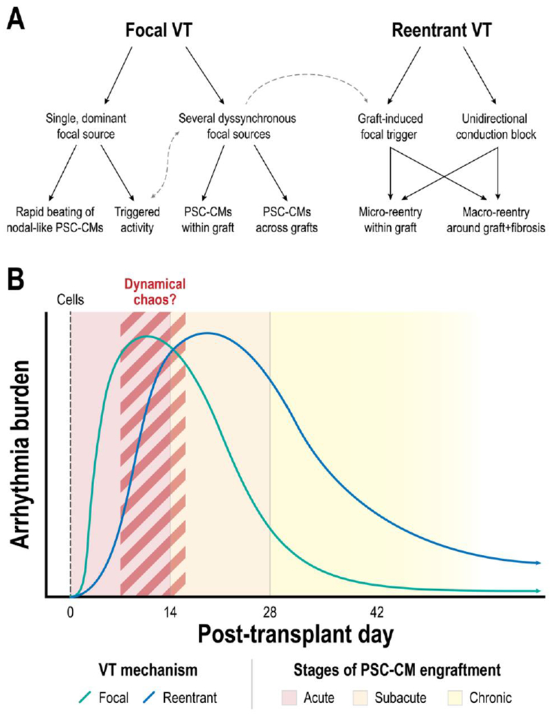 Figure 6: