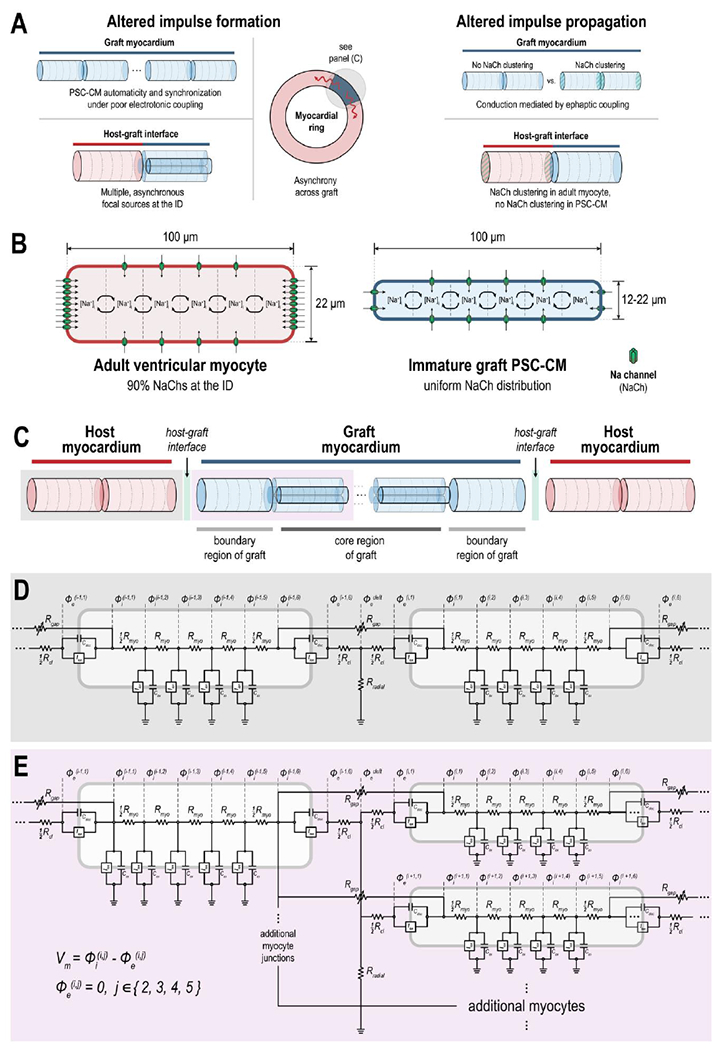 Figure 1: