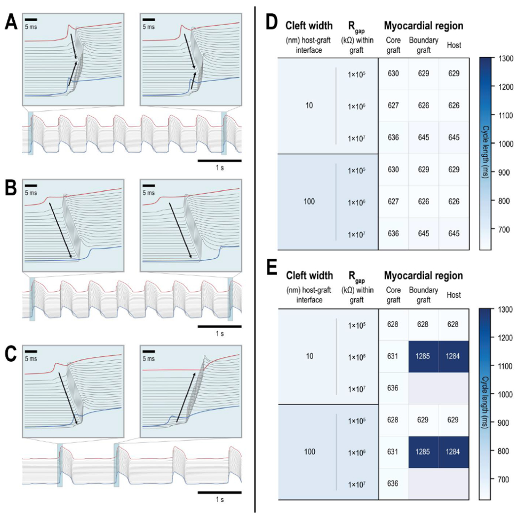 Figure 5: