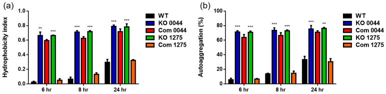 Figure 5