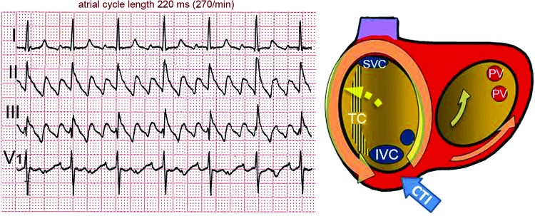 Figure 2: