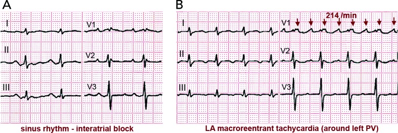 Figure 10: