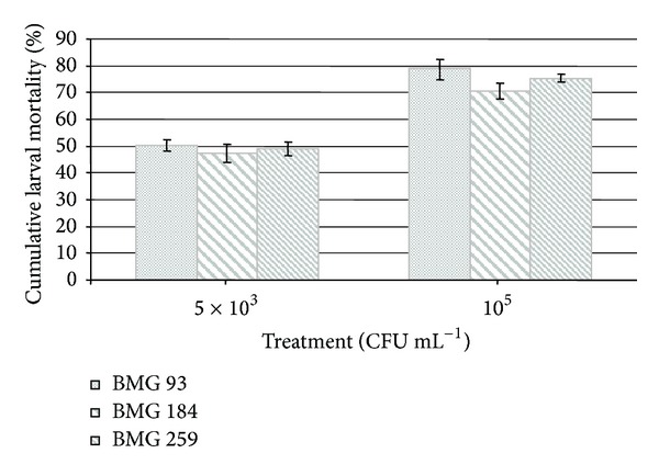 Figure 5