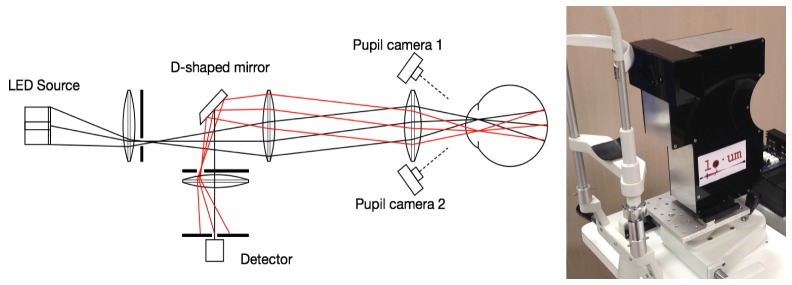 Fig. 1