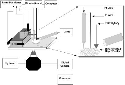 Fig. 2.