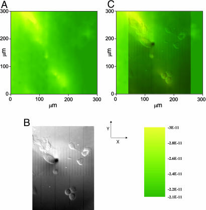 Fig. 6.