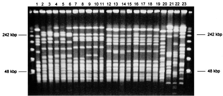 FIG. 1