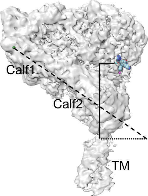 Fig. 3