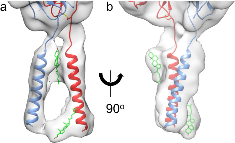 Fig. 2