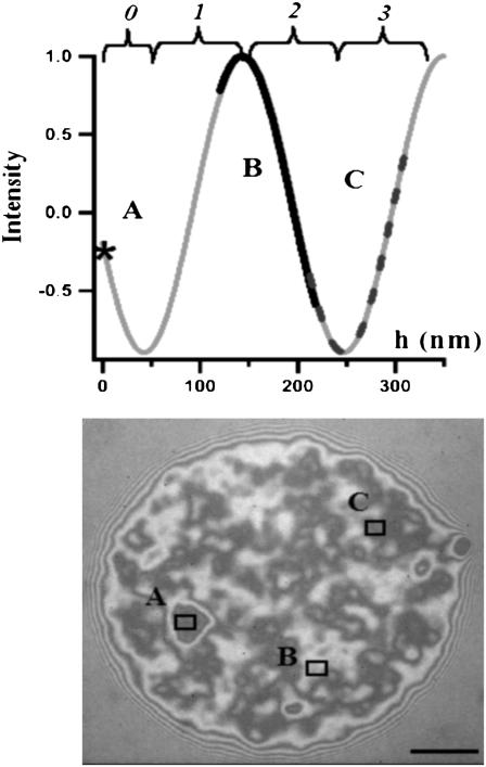 FIGURE 9