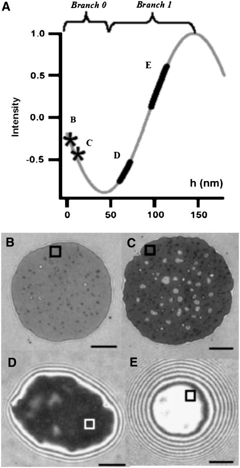 FIGURE 3