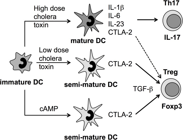 Fig 5