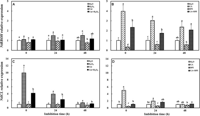 FIGURE 11