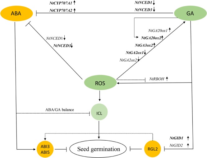 FIGURE 12