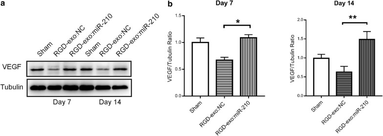 Fig. 7