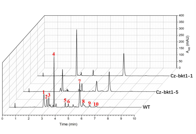 Fig. 2