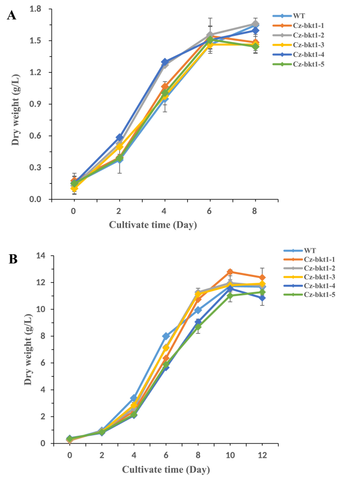 Fig. 3