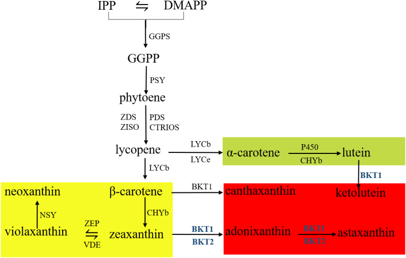 Fig. 4