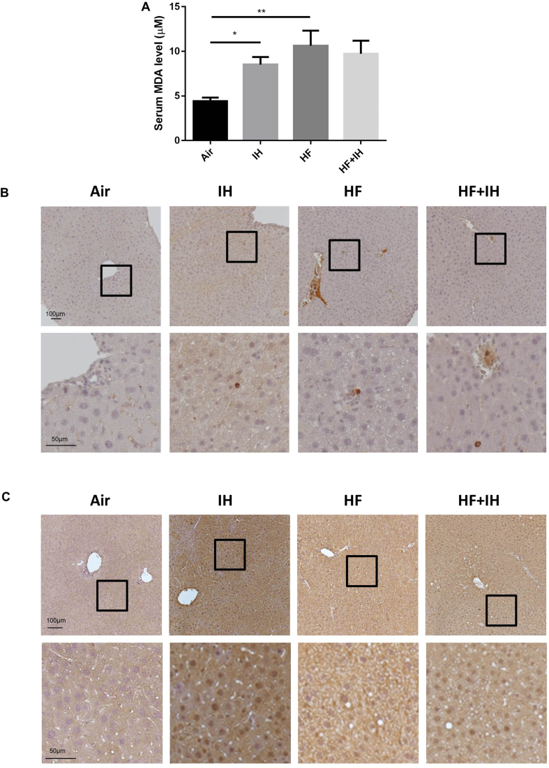 Fig. 3