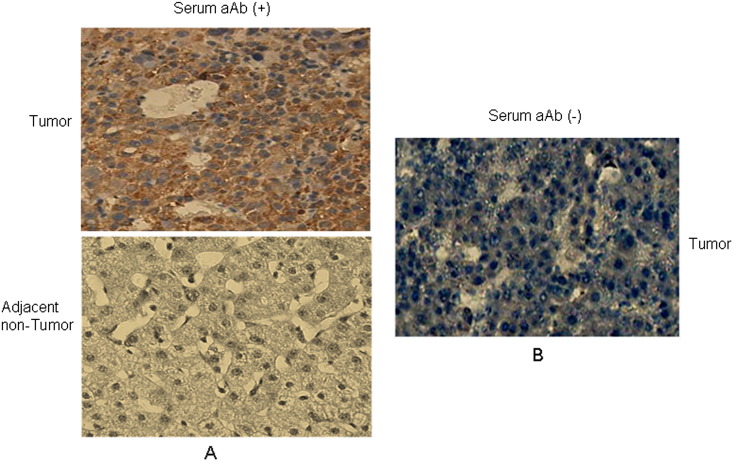 Supplementary Fig. 2