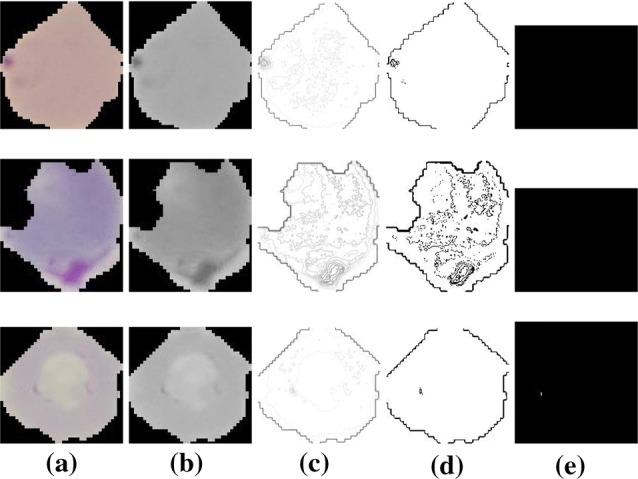 Fig. 8